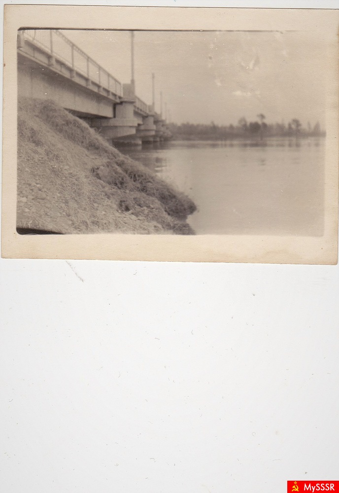 1961 